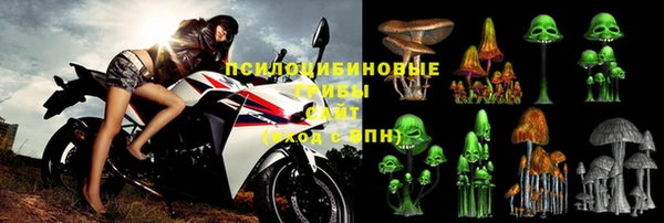 Альфа ПВП Мегион