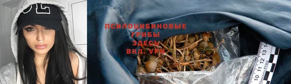стафф Медногорск