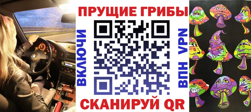 Купить  Курчалой  Галлюциногенные грибы GOLDEN TEACHER 